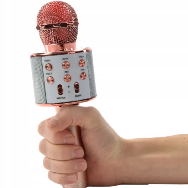 Bezprzewodowy Mikrofon Głośnik Bluetooth Karaoke