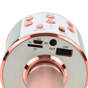 Bezprzewodowy Mikrofon Głośnik Bluetooth Karaoke