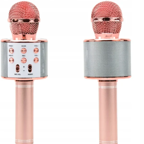 Bezprzewodowy Mikrofon Głośnik Bluetooth Karaoke