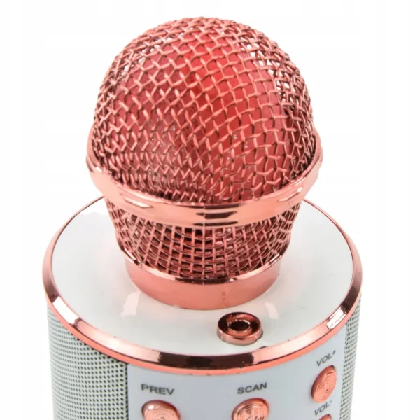 Bezprzewodowy Mikrofon Głośnik Bluetooth Karaoke