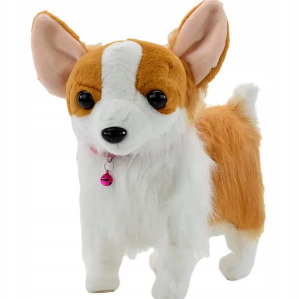 PIESEK INTERAKTYWNY NA SMYCZY CHODZI SZCZEKA CORGI