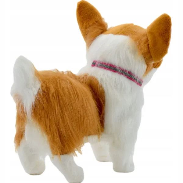 PIESEK INTERAKTYWNY NA SMYCZY CHODZI SZCZEKA CORGI